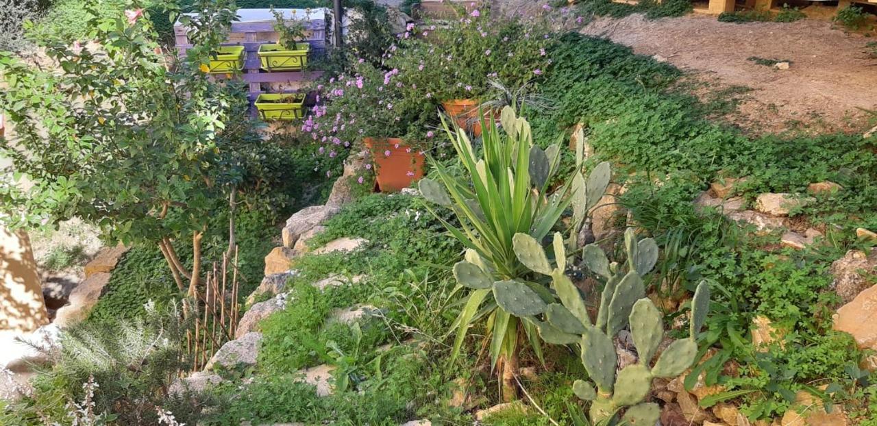 Il Moro Di Sicilia Apartment 테르미니이메레세 외부 사진